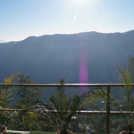 Nirala Guest House Darjeeling  Esterno foto